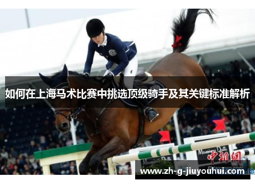 如何在上海马术比赛中挑选顶级骑手及其关键标准解析